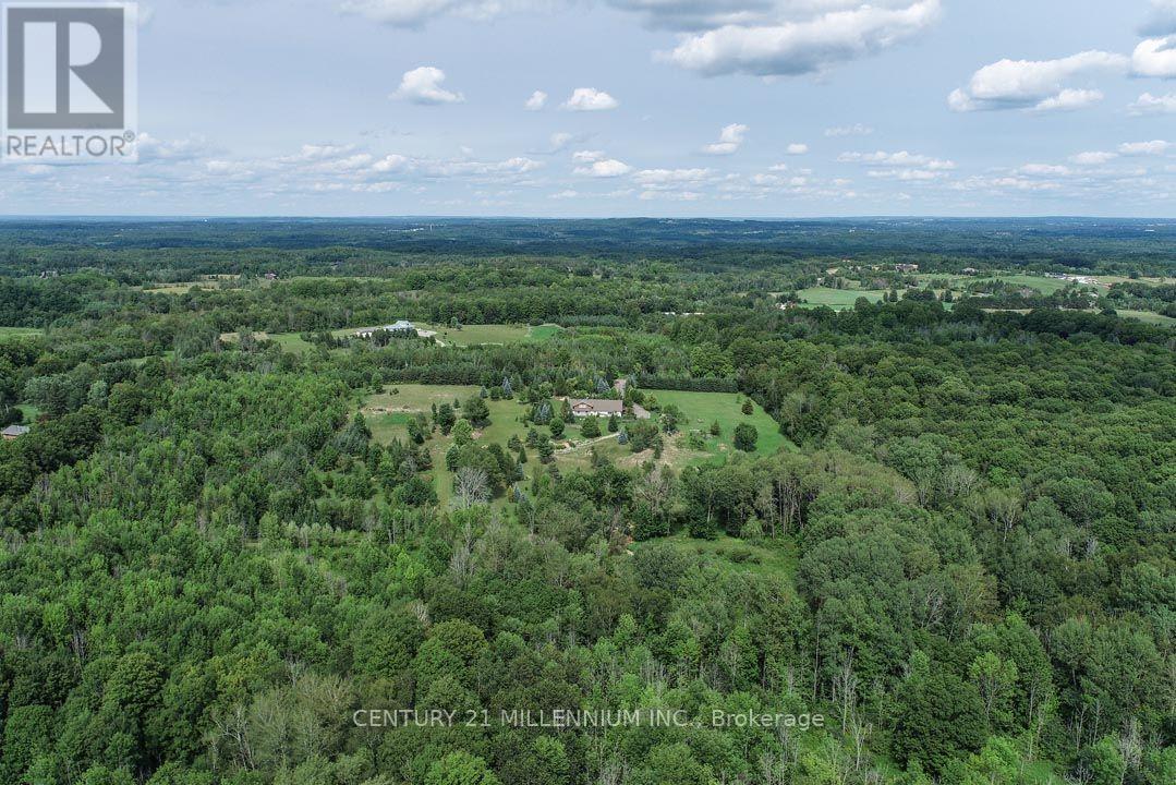 17218 Innis Lake Road, Caledon, Ontario  L7K 2K6 - Photo 10 - W13206596