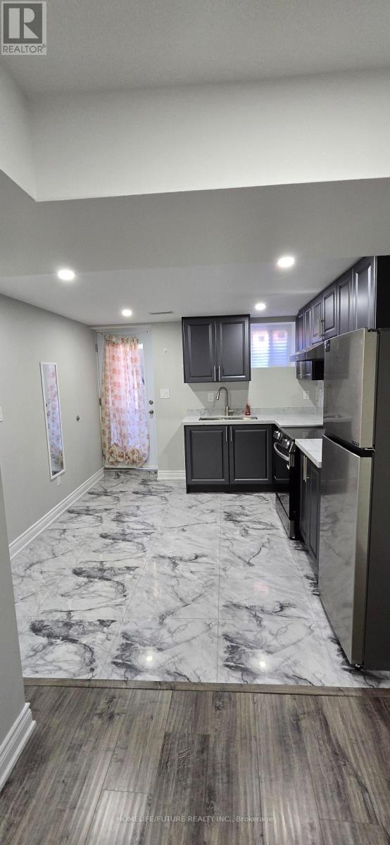 Bsmt - 6920 Haines Artist Way, Mississauga, Ontario  L5W 1B7 - Photo 3 - W13653138