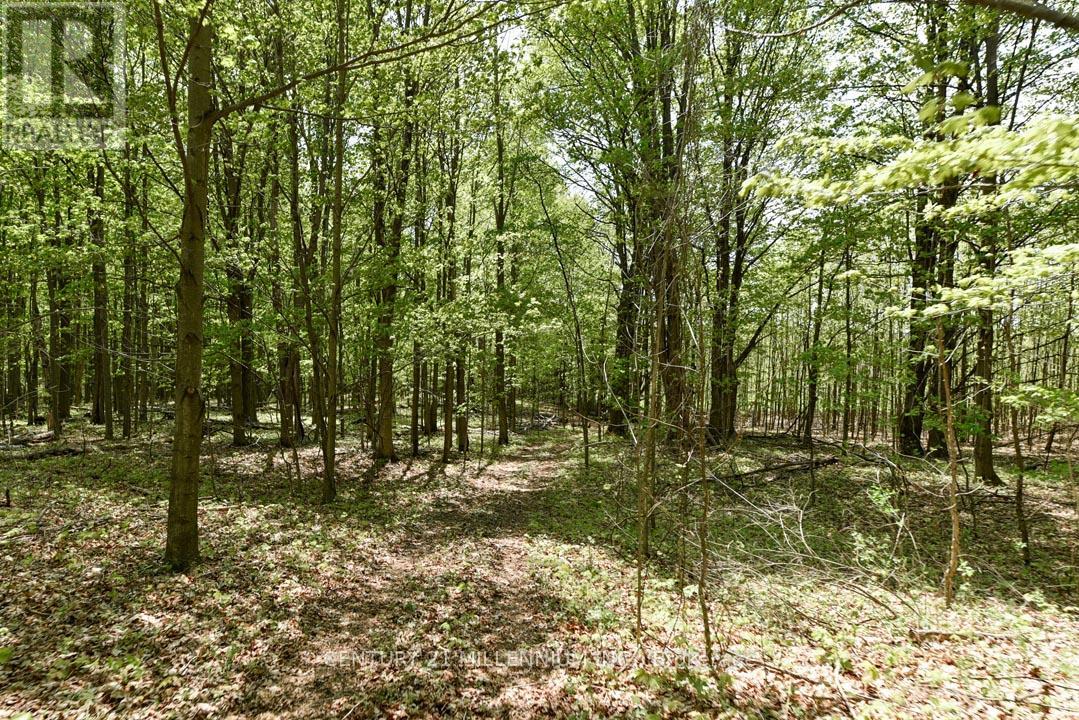 17218 Innis Lake Road, Caledon, Ontario  L7K 2K6 - Photo 24 - W13206596