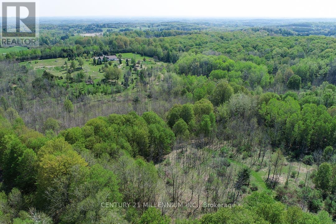 17218 Innis Lake Road, Caledon, Ontario  L7K 2K6 - Photo 9 - W13206596