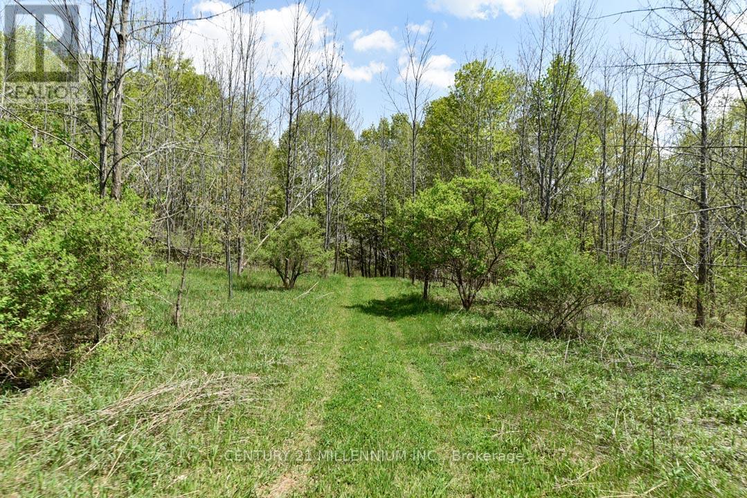 17218 Innis Lake Road, Caledon, Ontario  L7K 2K6 - Photo 25 - W13206596