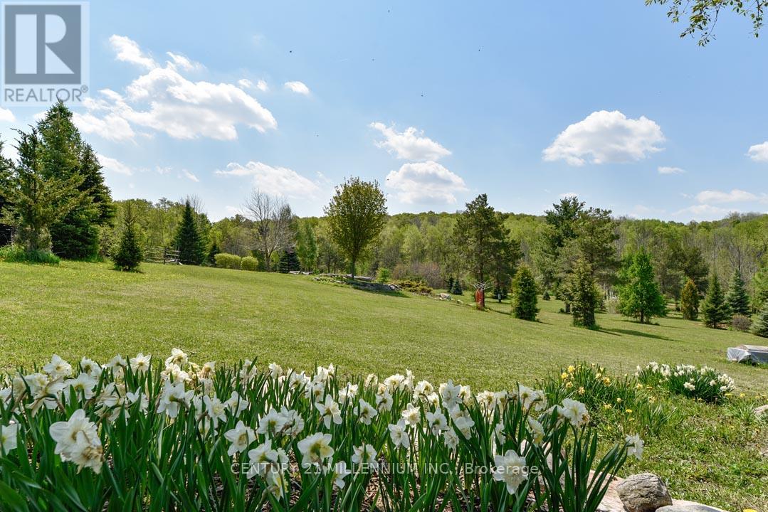 17218 Innis Lake Road, Caledon, Ontario  L7K 2K6 - Photo 5 - W13206596