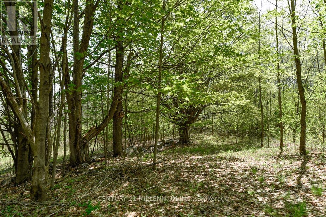 17218 Innis Lake Road, Caledon, Ontario  L7K 2K6 - Photo 26 - W13206596