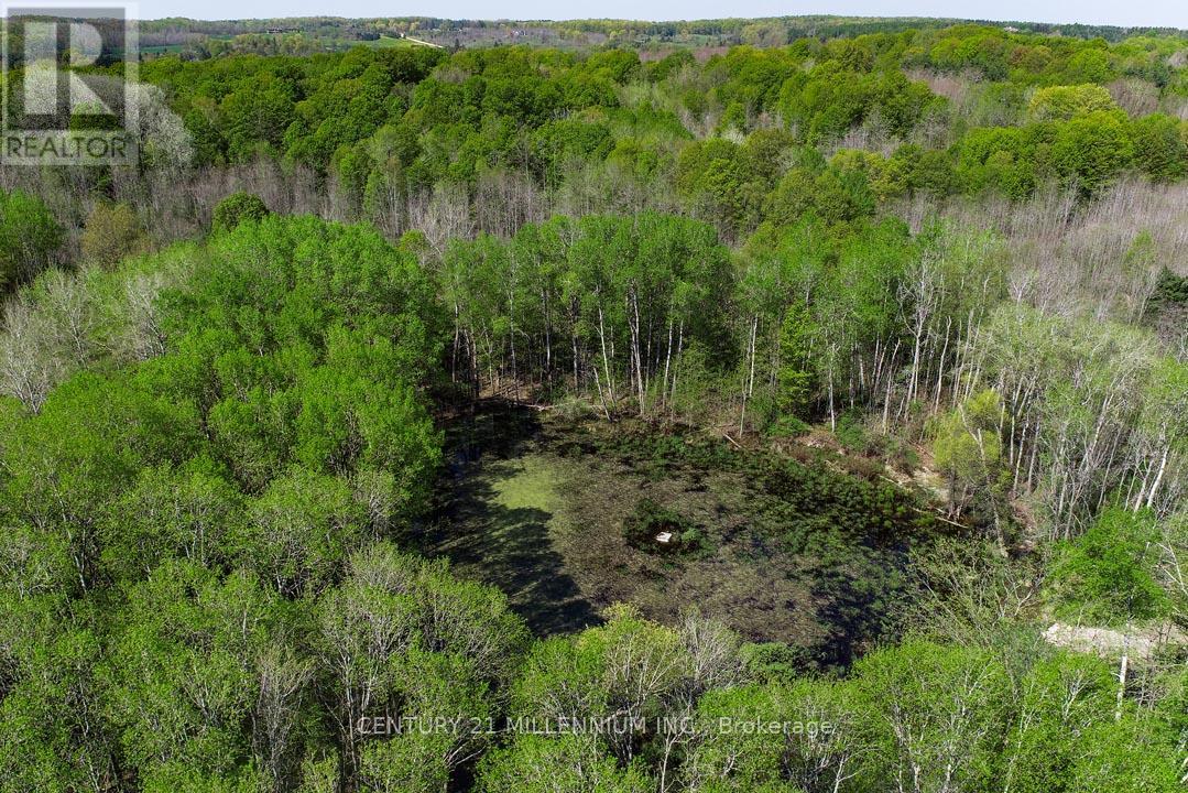 17218 Innis Lake Road, Caledon, Ontario  L7K 2K6 - Photo 7 - W13206596