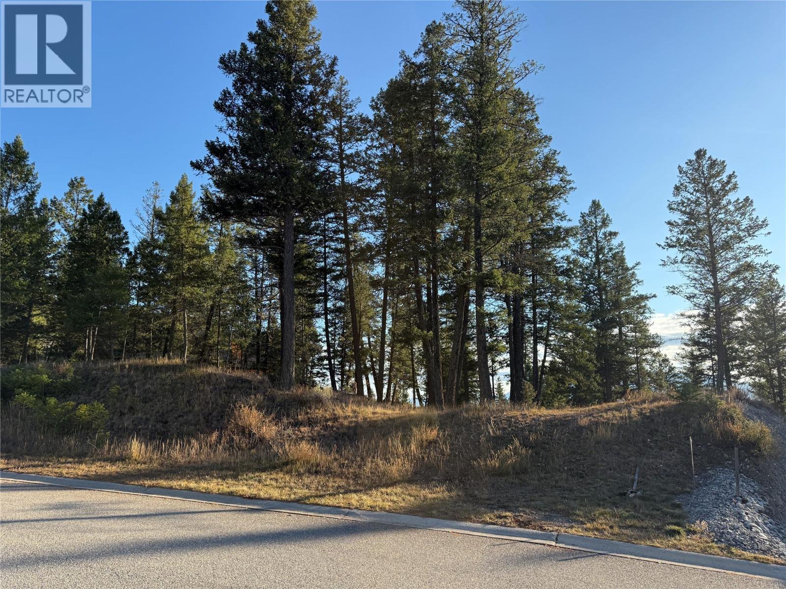 Lot 5 Crooked Tree Place, Fairmont Hot Springs, British Columbia  V0B 1L1 - Photo 11 - 10398717