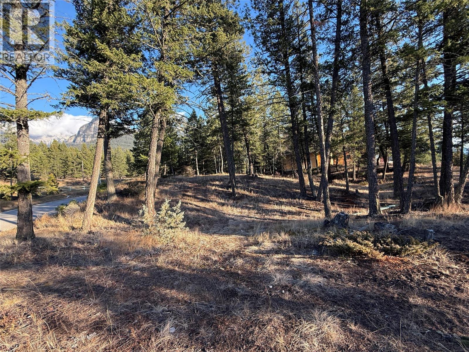 Lot 5 Crooked Tree Place, Fairmont Hot Springs, British Columbia  V0B 1L1 - Photo 9 - 10398717