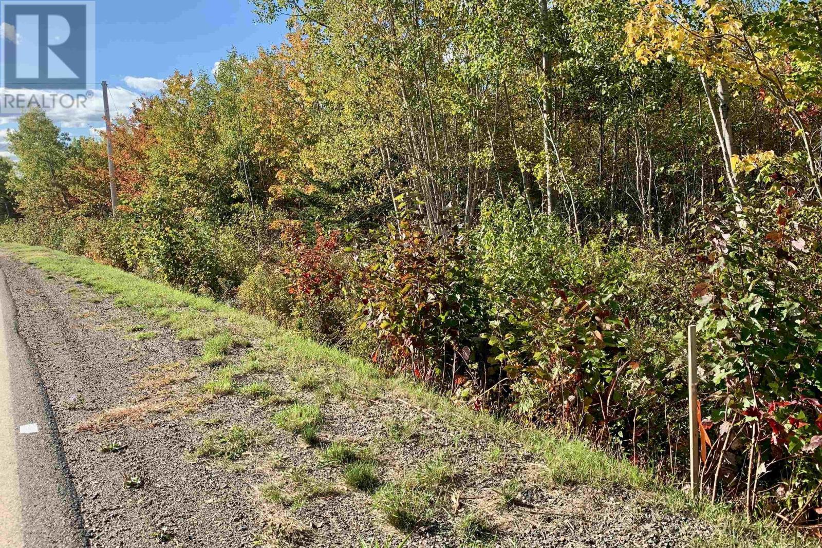 Lot 24-3 Highway 321, Roslin, Nova Scotia  B0K 1K0 - Photo 5 - 202604297