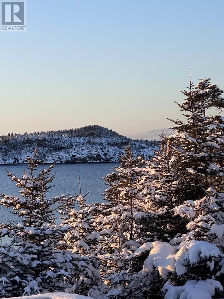 47 Harbour View Avenue, Arnolds Cove, Newfoundland & Labrador  A0B 1A0 - Photo 29 - 1299978
