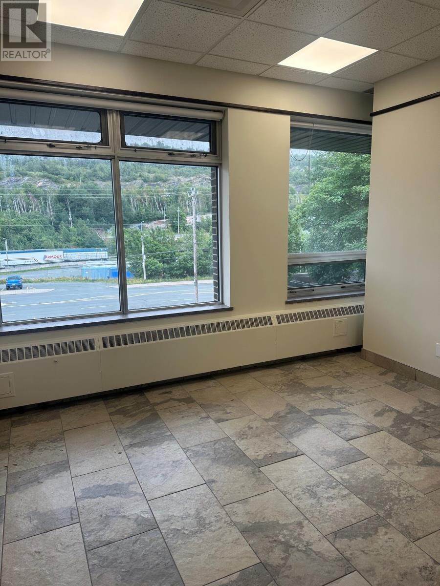 702 Water Street, St. John's, Newfoundland & Labrador  A1C 5J2 - Photo 7 - 1302320