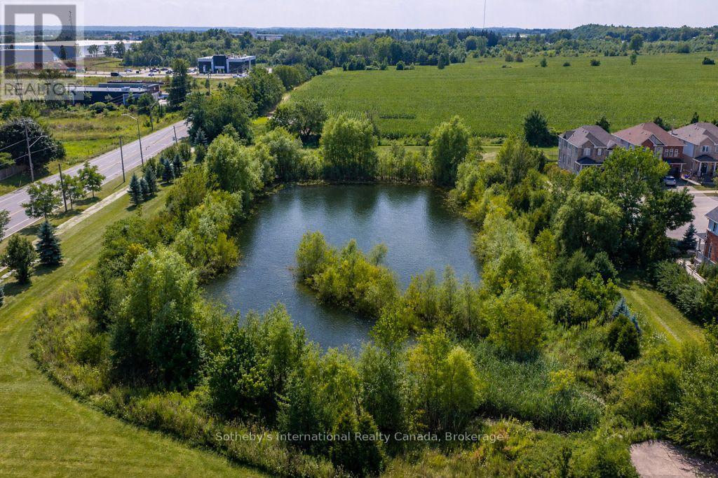 12 Bousfield Court, Hamilton, Ontario  L0R 2H1 - Photo 43 - X13709222