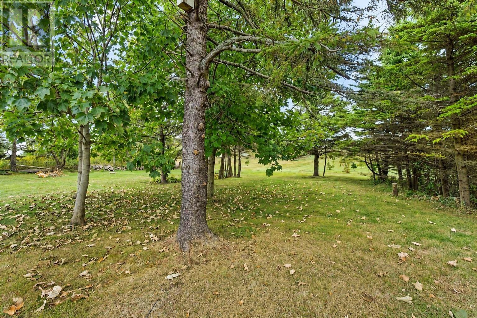 picture 39