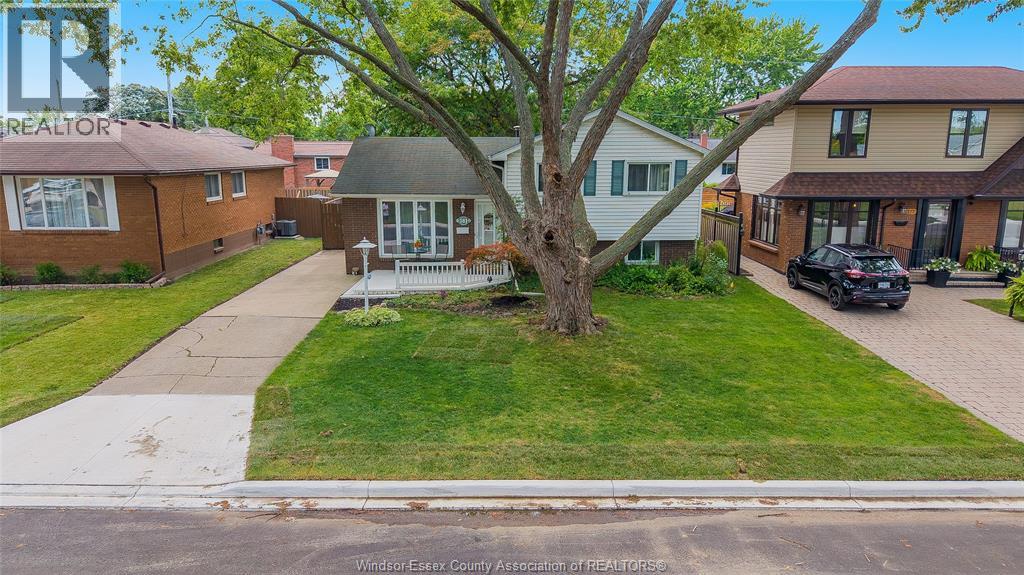 MLS# 26020686: 381 CARLING, Windsor, Canada