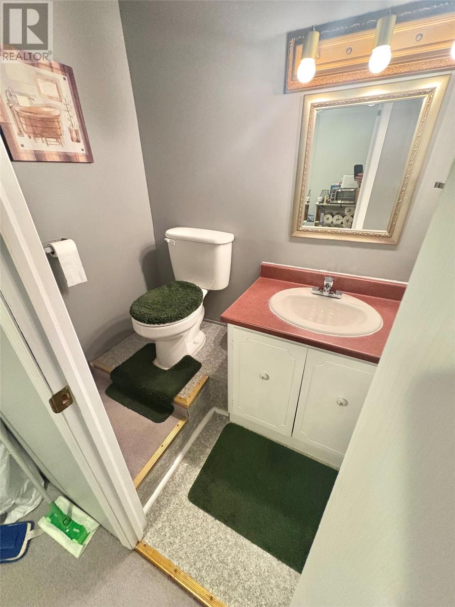 119 Brown Avenue, Grand Falls Windsor, Newfoundland & Labrador  A2A 2L2 - Photo 42 - 1302234