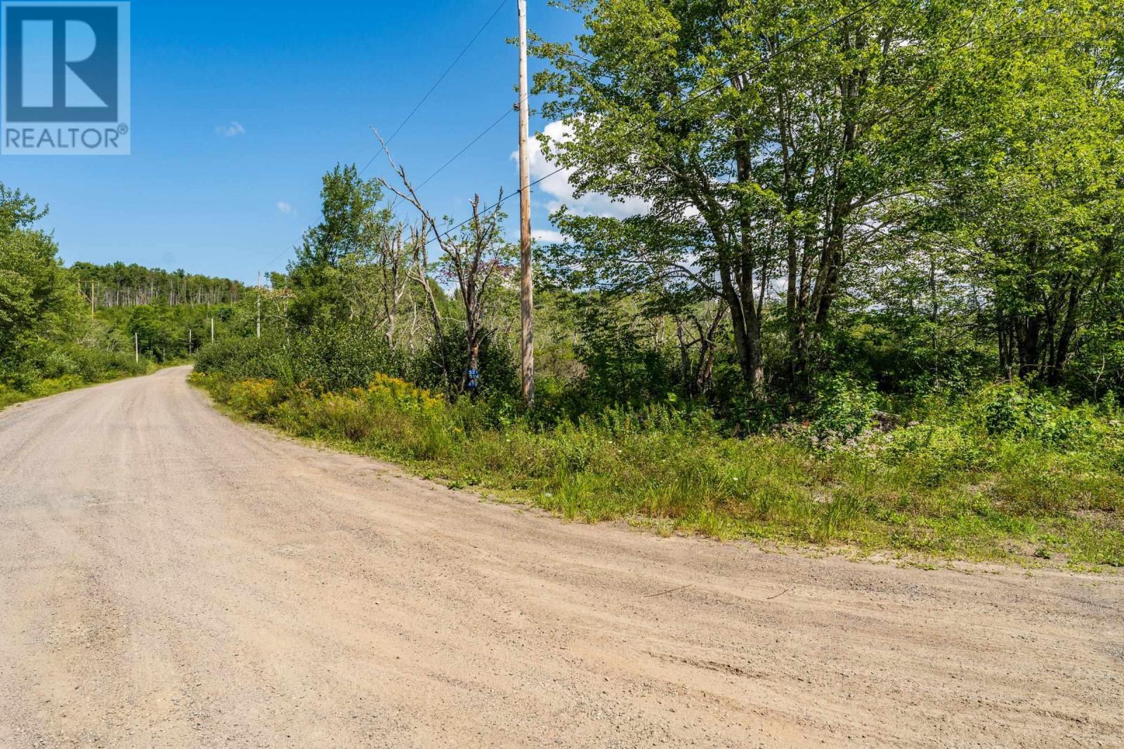 Lot Guinea Road, Guinea, Nova Scotia  B0S 1E0 - Photo 7 - 202621422