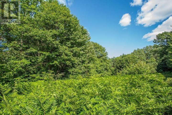1968 Hilton Rd, Hilton Township, St. Joseph Island, Ontario  P0R 1G0 - Photo 23 - SM261993