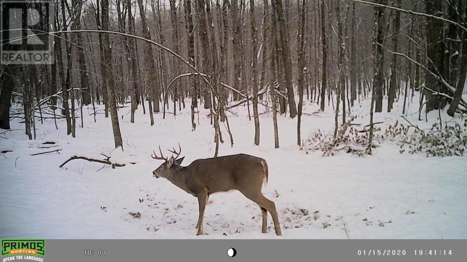 1968 Hilton Rd, Hilton Township, St. Joseph Island, Ontario  P0R 1G0 - Photo 12 - SM261993