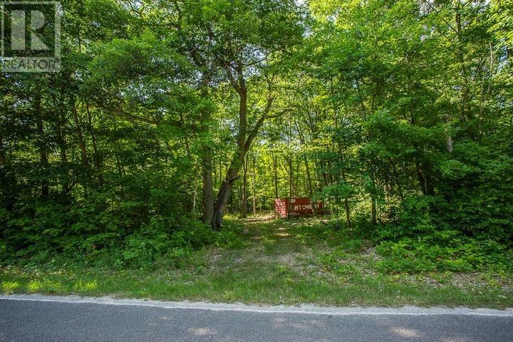 1968 Hilton Rd, Hilton Township, St. Joseph Island, Ontario  P0R 1G0 - Photo 22 - SM261993