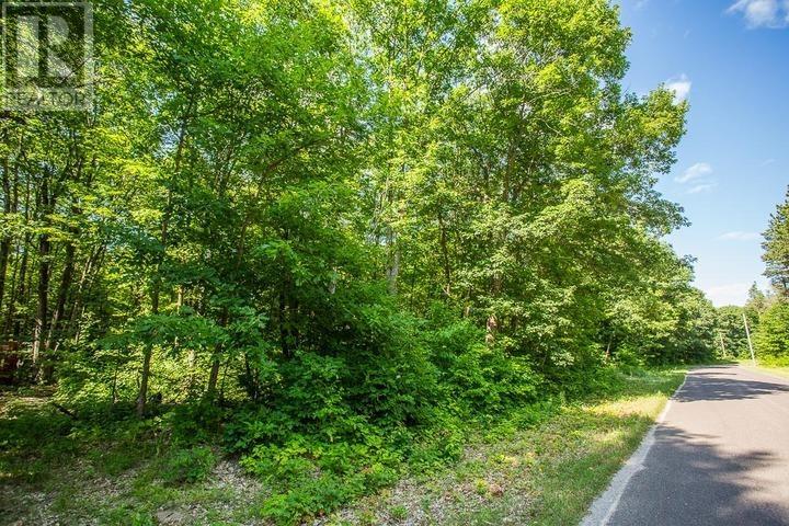 1968 Hilton Rd, Hilton Township, St. Joseph Island, Ontario  P0R 1G0 - Photo 20 - SM261993