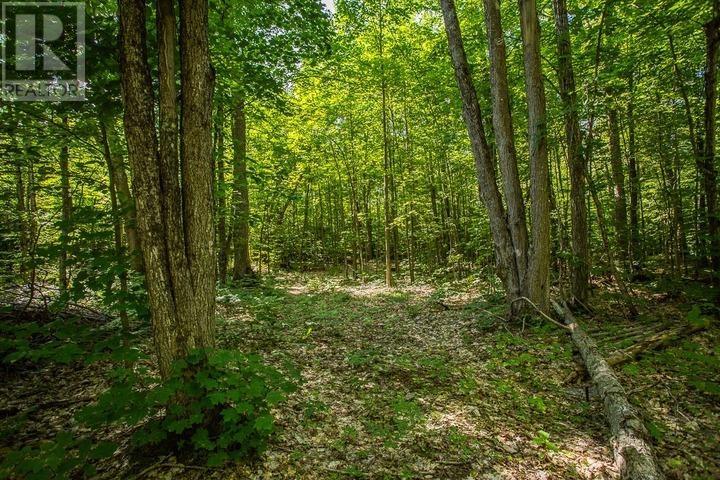 1968 Hilton Rd, Hilton Township, St. Joseph Island, Ontario  P0R 1G0 - Photo 37 - SM261993