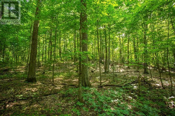 1968 Hilton Rd, Hilton Township, St. Joseph Island, Ontario  P0R 1G0 - Photo 34 - SM261993