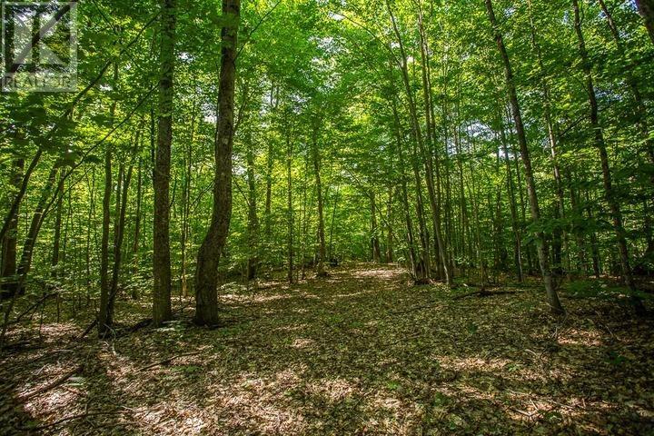 1968 Hilton Rd, Hilton Township, St. Joseph Island, Ontario  P0R 1G0 - Photo 36 - SM261993