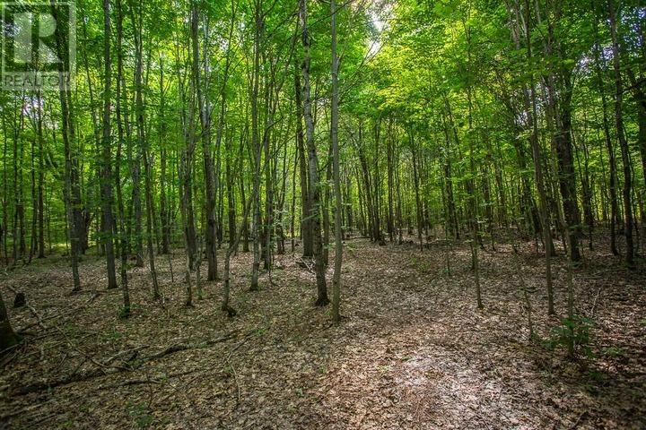 1968 Hilton Rd, Hilton Township, St. Joseph Island, Ontario  P0R 1G0 - Photo 39 - SM261993