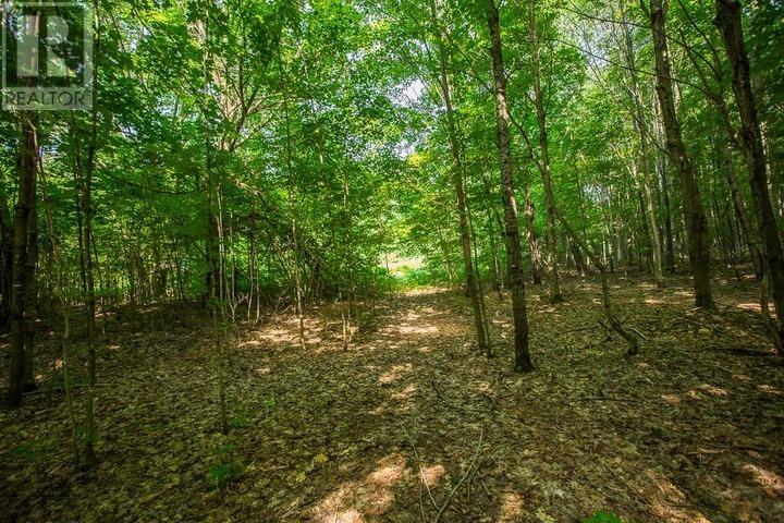 1968 Hilton Rd, Hilton Township, St. Joseph Island, Ontario  P0R 1G0 - Photo 41 - SM261993