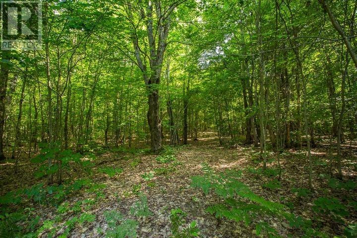 1968 Hilton Rd, Hilton Township, St. Joseph Island, Ontario  P0R 1G0 - Photo 46 - SM261993