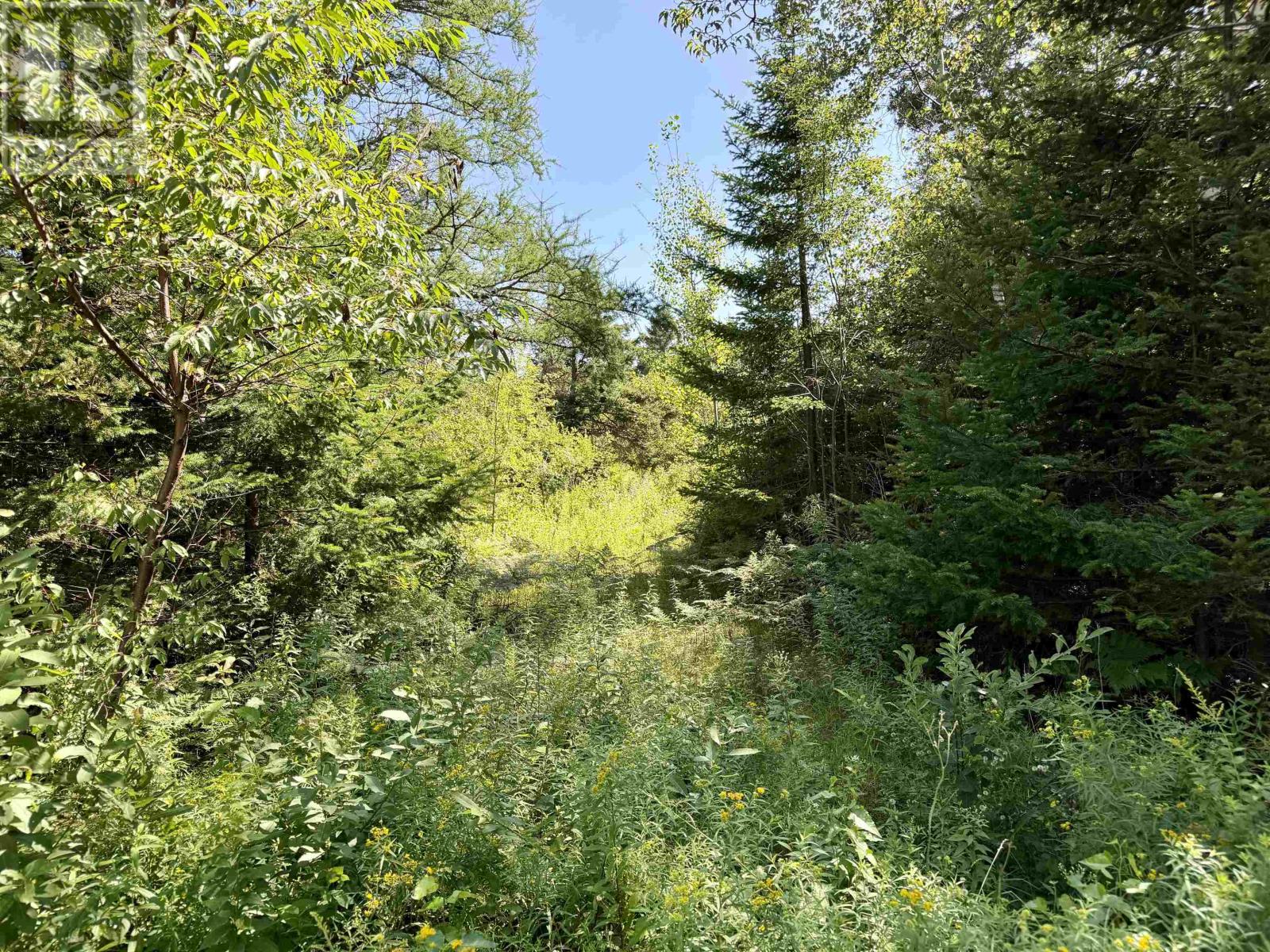Lot Eagles View Lane, Malpeque, Prince Edward Island  C0B 1M0 - Photo 19 - 202621432