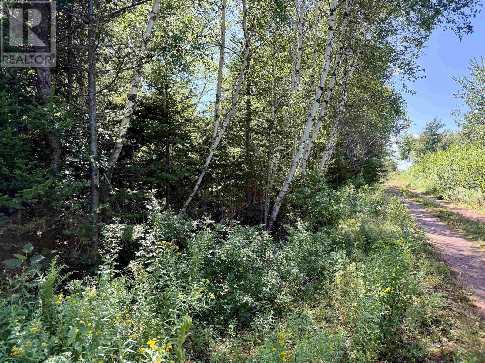 Lot Eagles View Lane, Malpeque, Prince Edward Island  C0B 1M0 - Photo 20 - 202621432