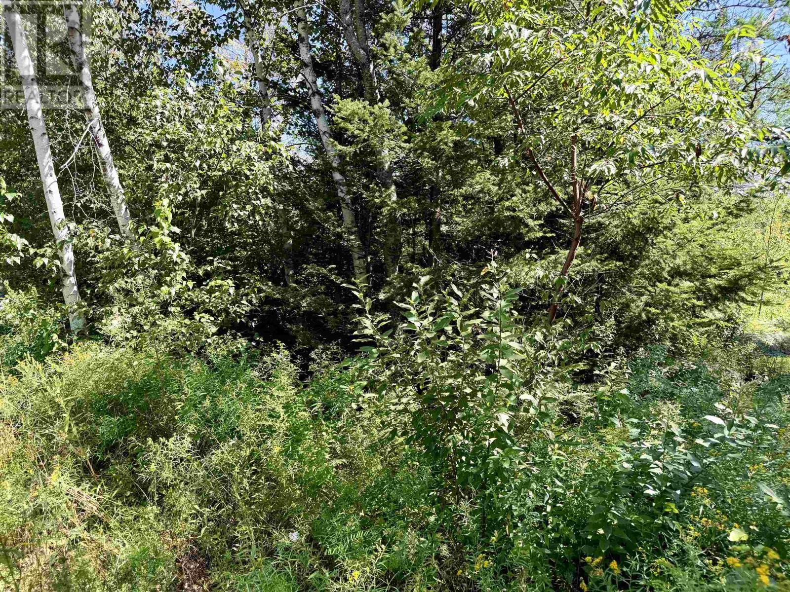 Lot Eagles View Lane, Malpeque, Prince Edward Island  C0B 1M0 - Photo 21 - 202621432