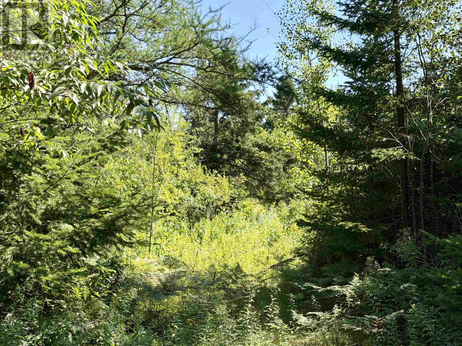 Lot Eagles View Lane, Malpeque, Prince Edward Island  C0B 1M0 - Photo 22 - 202621432