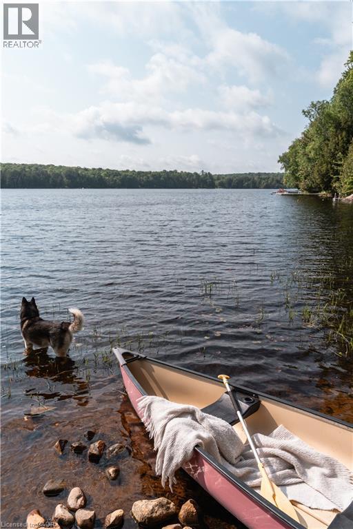 201 Menominee Lake Road N, Huntsville, Ontario P1H 2J3 - Photo 24 - 40825441