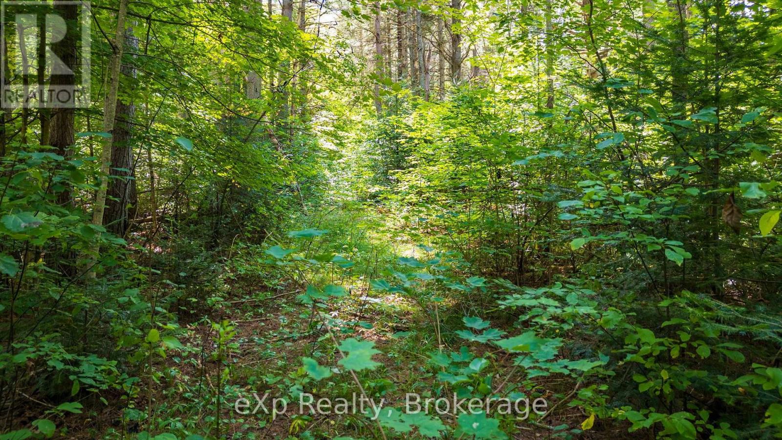 7 Mcmullen Drive, Perry, Ontario  P0A 1J0 - Photo 29 - X13709562