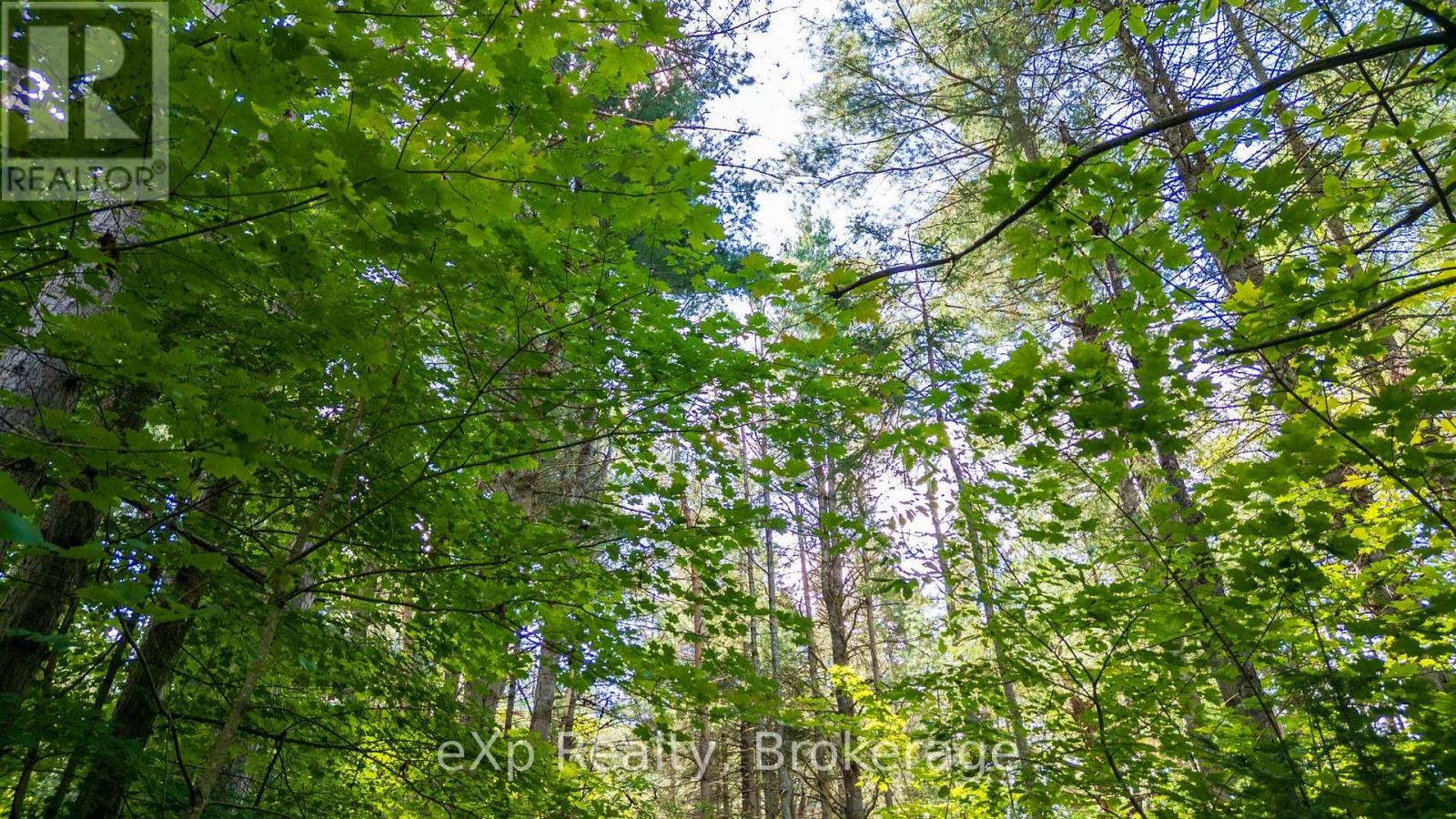 7 Mcmullen Drive, Perry, Ontario  P0A 1J0 - Photo 30 - X13709562