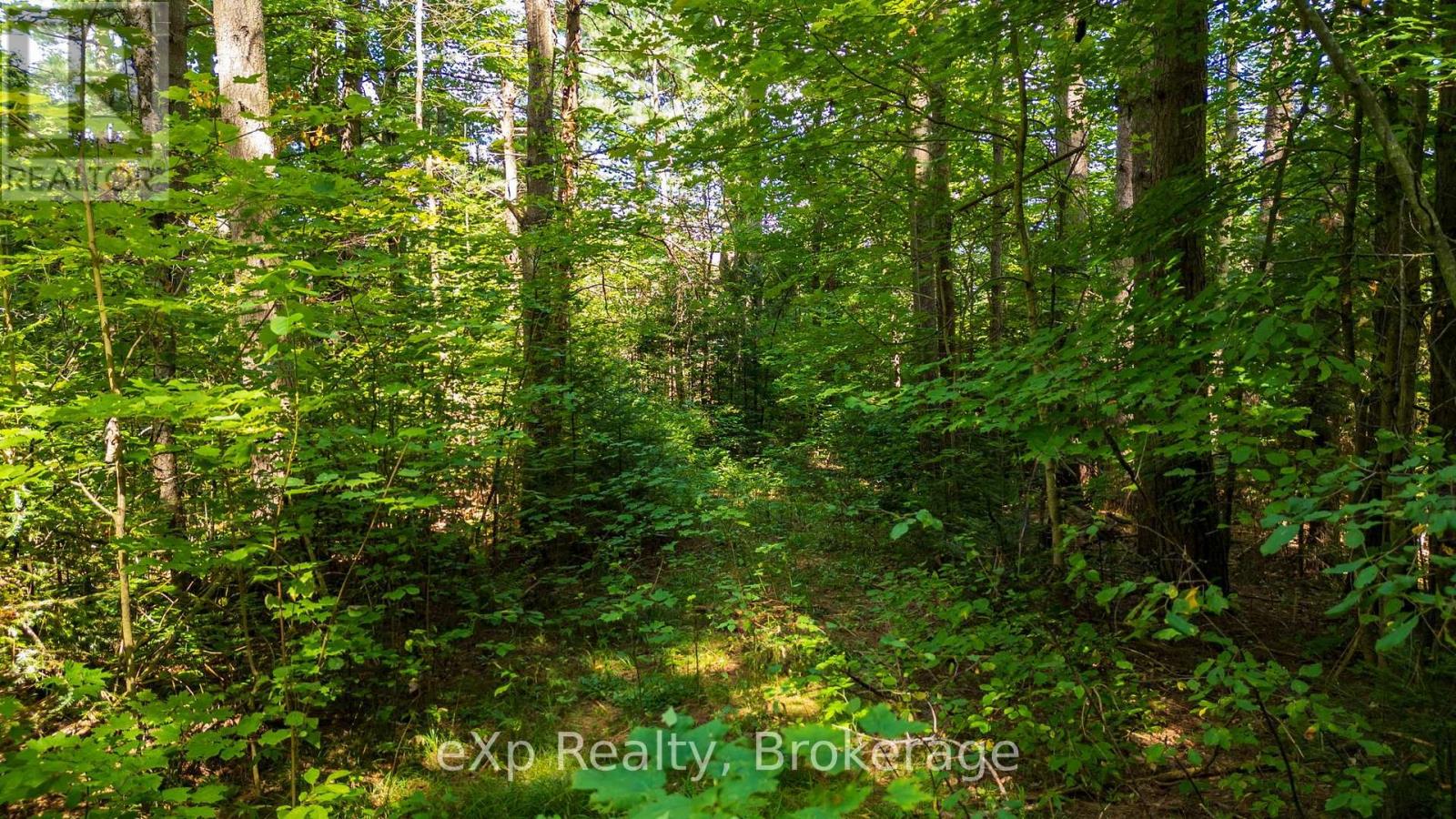 7 Mcmullen Drive, Perry, Ontario  P0A 1J0 - Photo 31 - X13709562