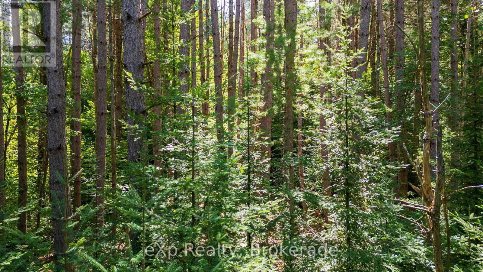 7 Mcmullen Drive, Perry, Ontario  P0A 1J0 - Photo 7 - X13709562