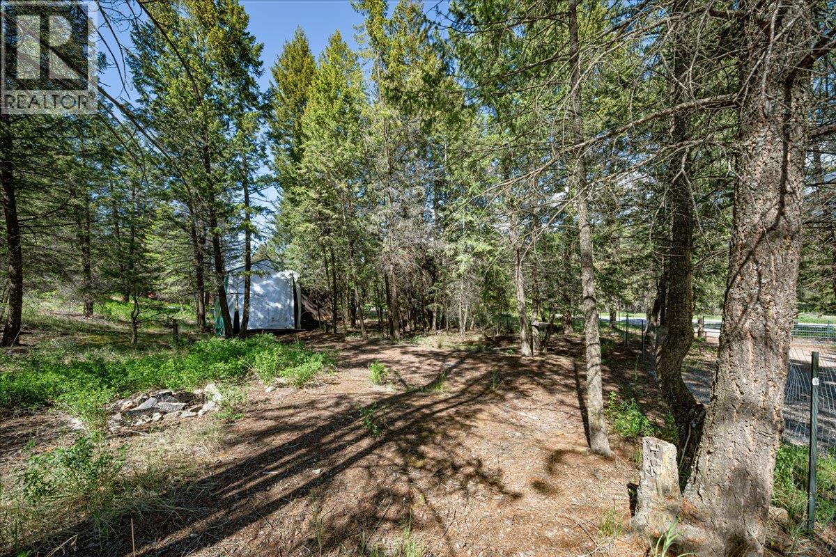 Lot 2 Columbia Lake Road Road Lot# Lot 2, Fairmont Hot Springs, British Columbia  V0B 1L2 - Photo 15 - 10388903