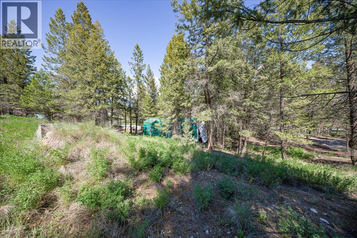 Lot 2 Columbia Lake Road Road Lot# Lot 2, Fairmont Hot Springs, British Columbia  V0B 1L2 - Photo 12 - 10388903
