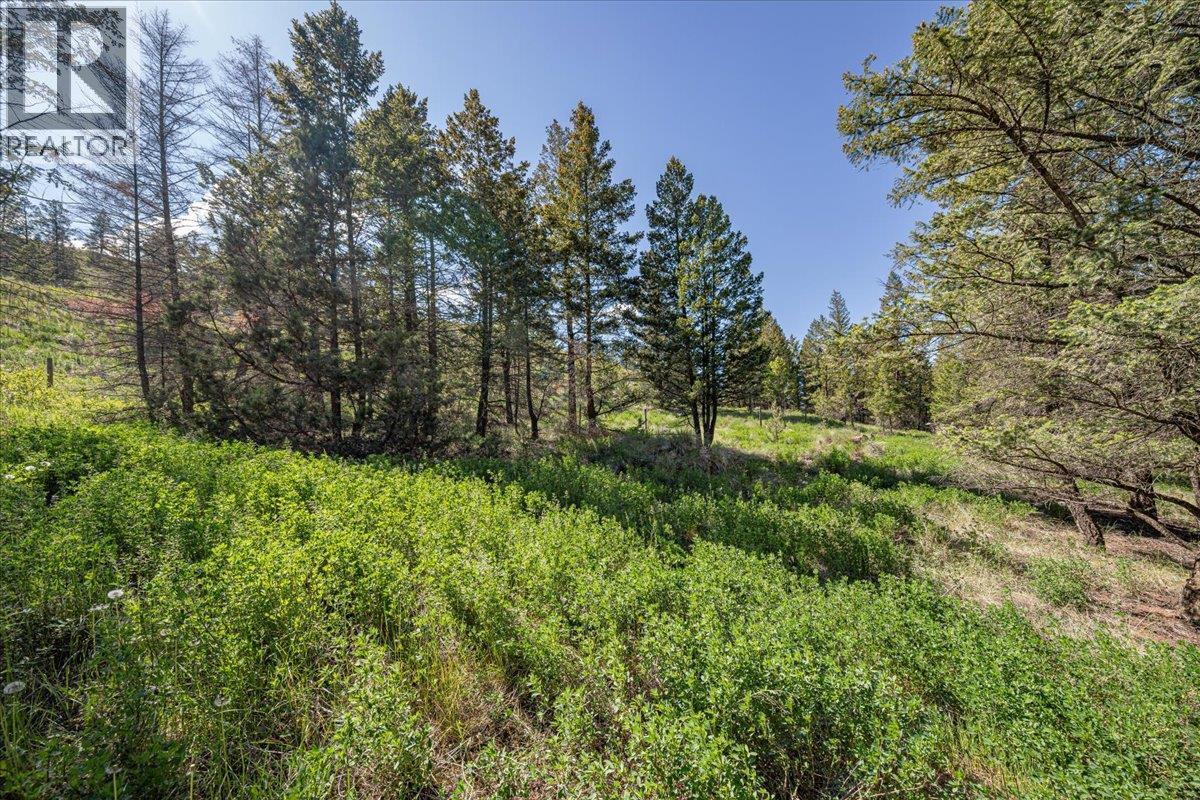 Lot 2 Columbia Lake Road Road Lot# Lot 2, Fairmont Hot Springs, British Columbia  V0B 1L2 - Photo 14 - 10388903