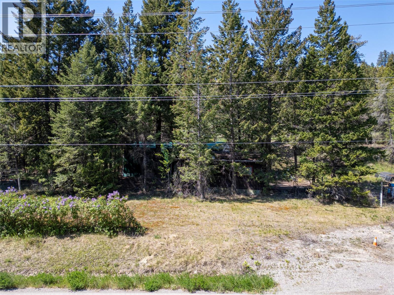 Lot 2 Columbia Lake Road Road Lot# Lot 2, Fairmont Hot Springs, British Columbia  V0B 1L2 - Photo 8 - 10388903