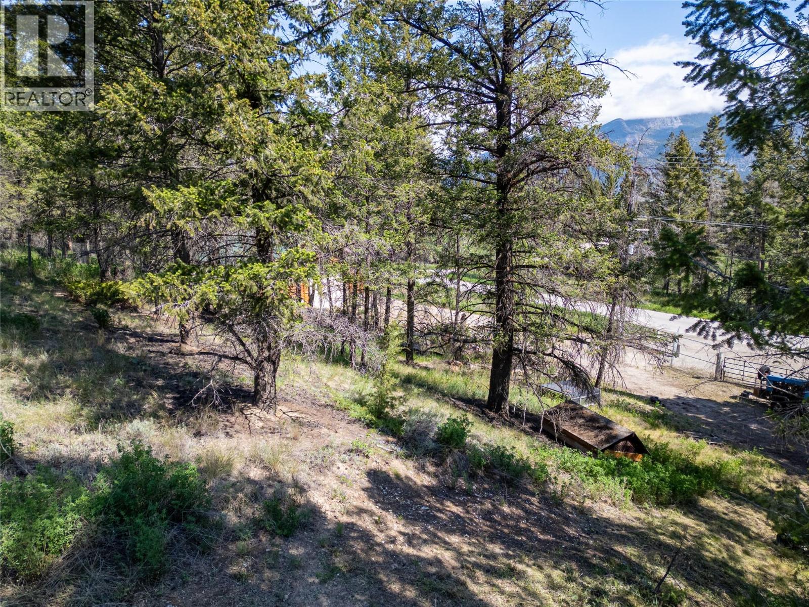 Lot 2 Columbia Lake Road Road Lot# Lot 2, Fairmont Hot Springs, British Columbia  V0B 1L2 - Photo 6 - 10388903