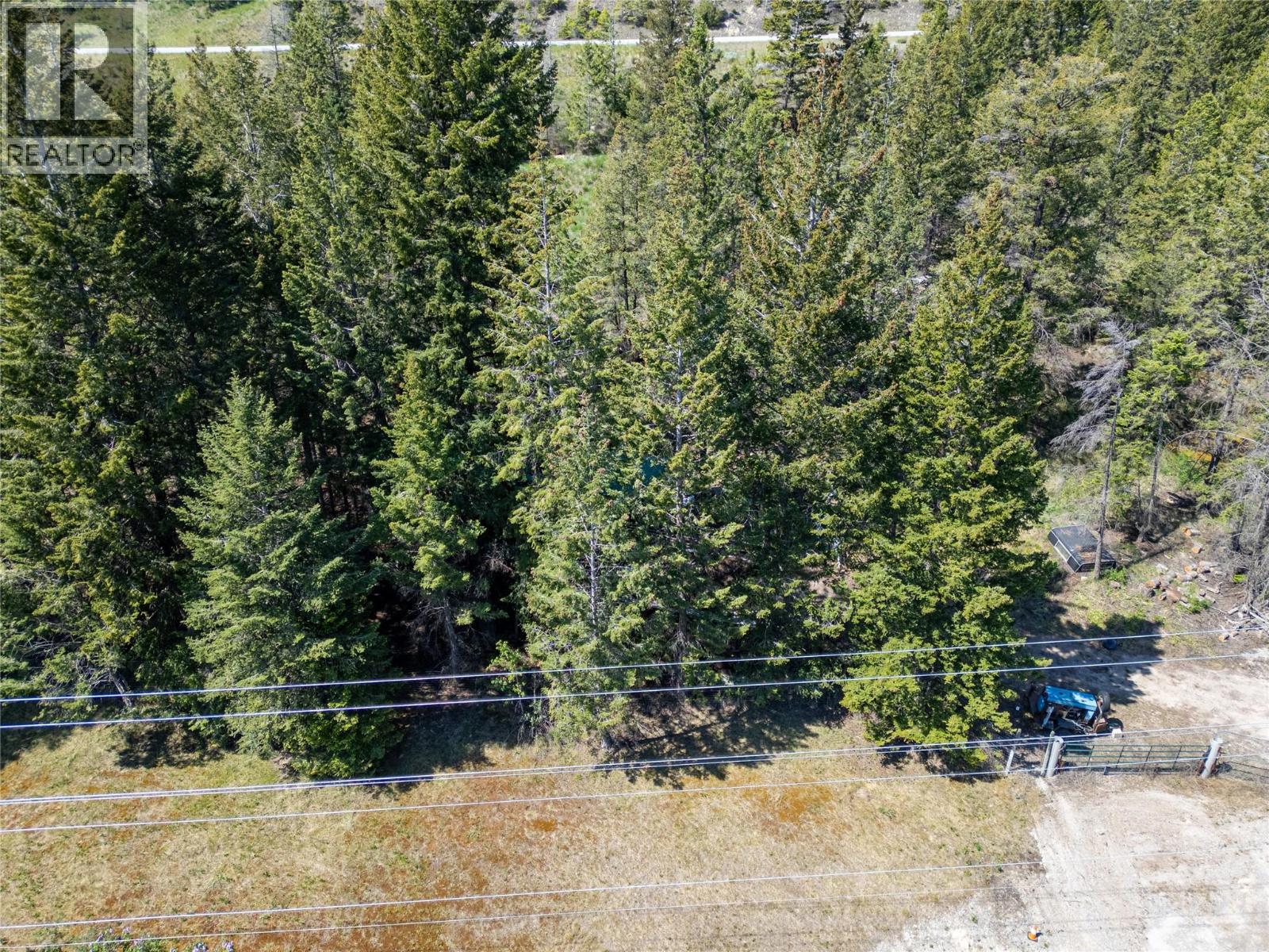 Lot 2 Columbia Lake Road Road Lot# Lot 2, Fairmont Hot Springs, British Columbia  V0B 1L2 - Photo 9 - 10388903