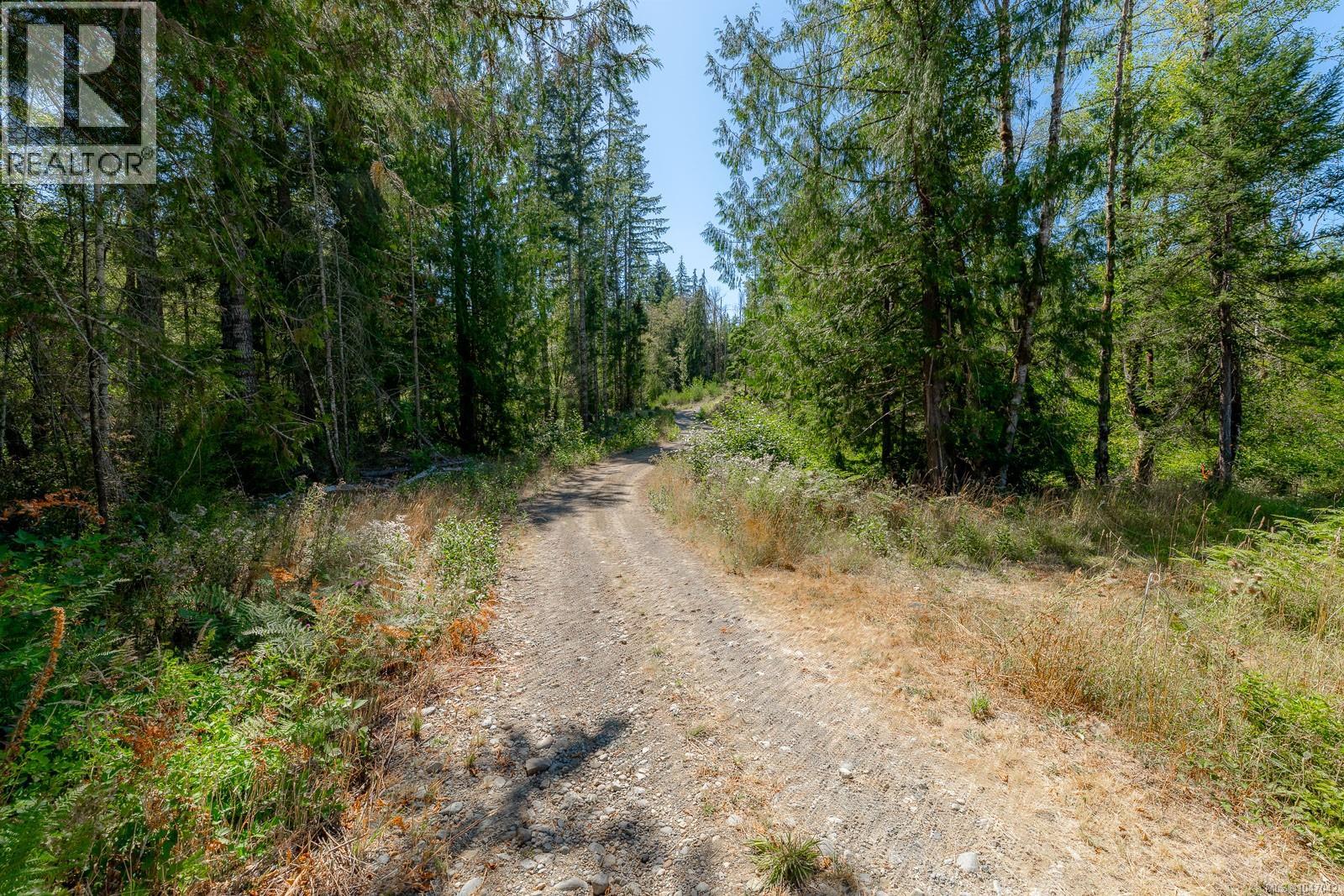 picture 26