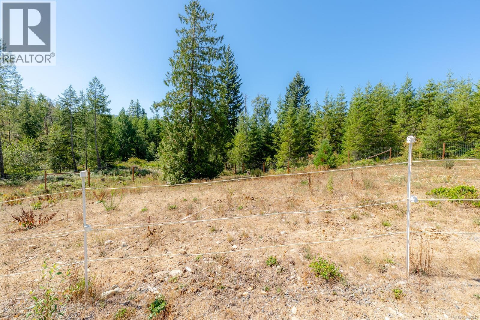 picture 45