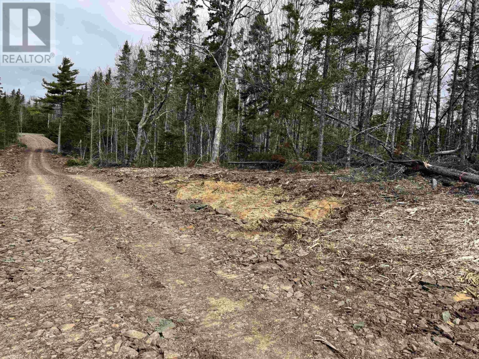 Hillside Rd Lot 3 Marion Bridge, Marion Bridge, Nova Scotia  B1K 3M5 - Photo 15 - 202613437
