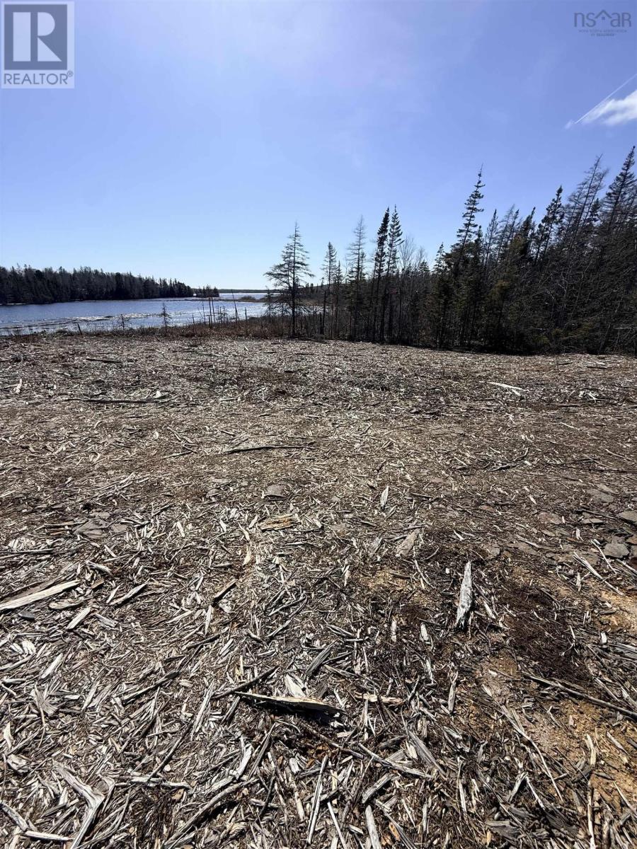 Hillside Rd Lot 3 Marion Bridge, Marion Bridge, Nova Scotia  B1K 3M5 - Photo 27 - 202613437