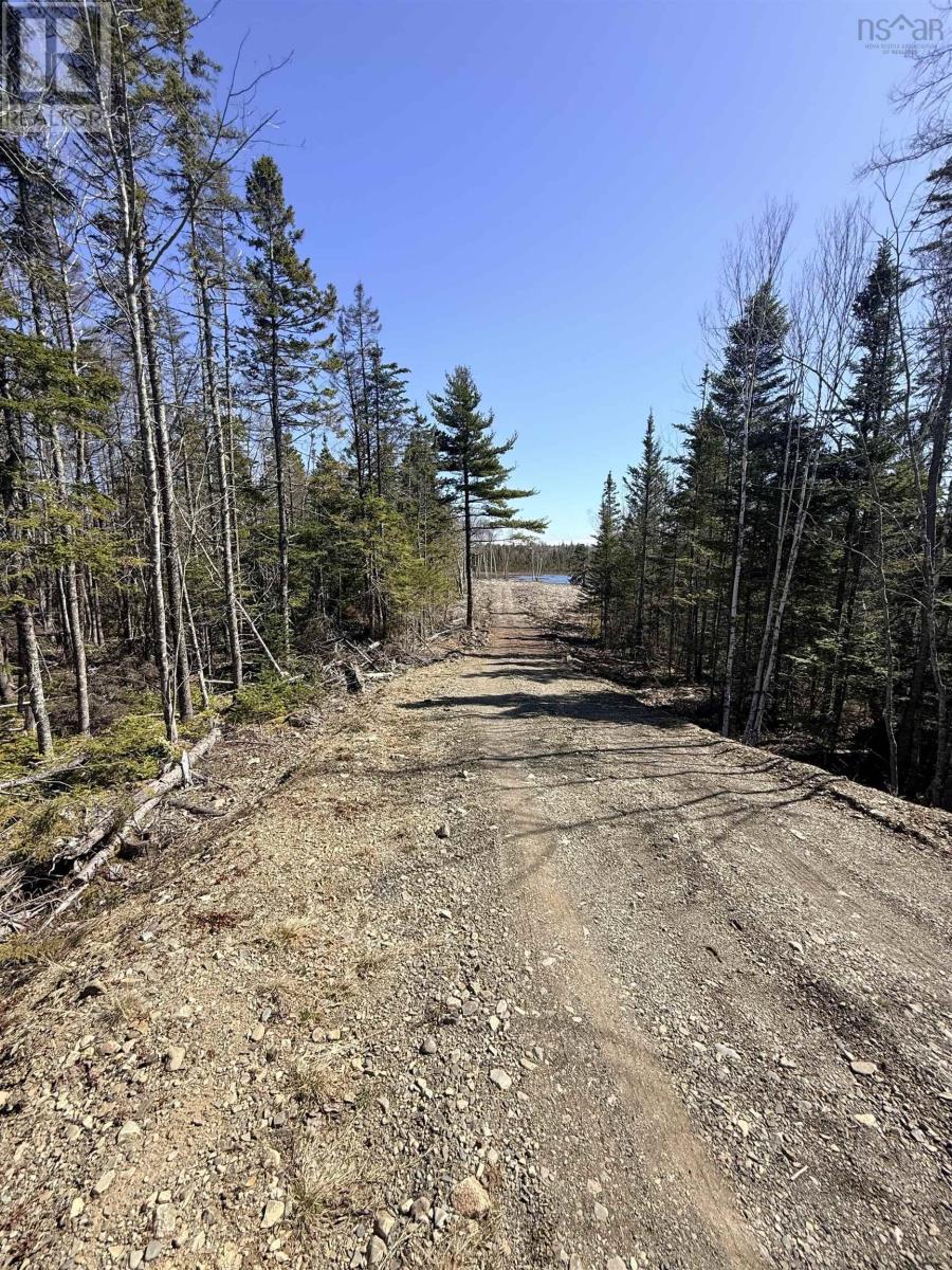 Hillside Rd Lot 3 Marion Bridge, Marion Bridge, Nova Scotia  B1K 3M5 - Photo 5 - 202613437