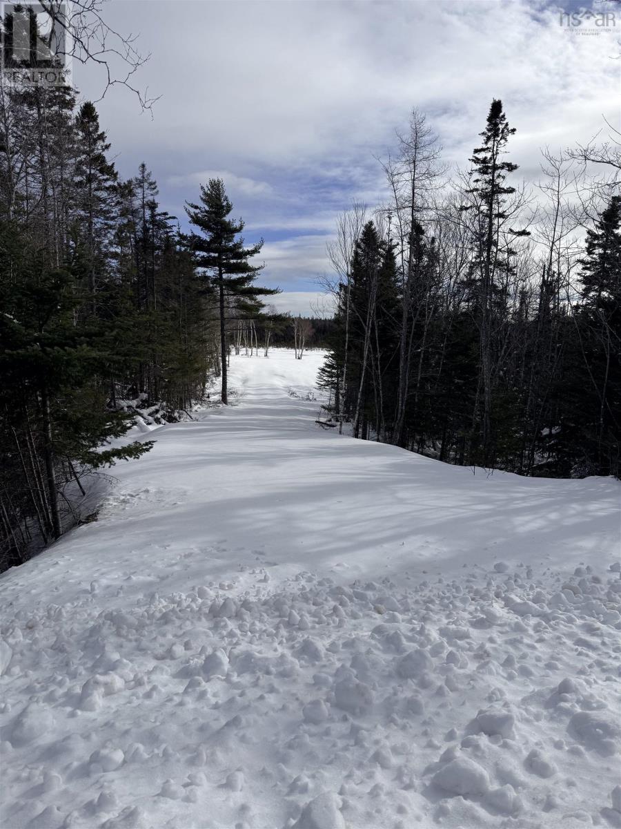 Hillside Rd Lot 3 Marion Bridge, Marion Bridge, Nova Scotia  B1K 3M5 - Photo 31 - 202613437