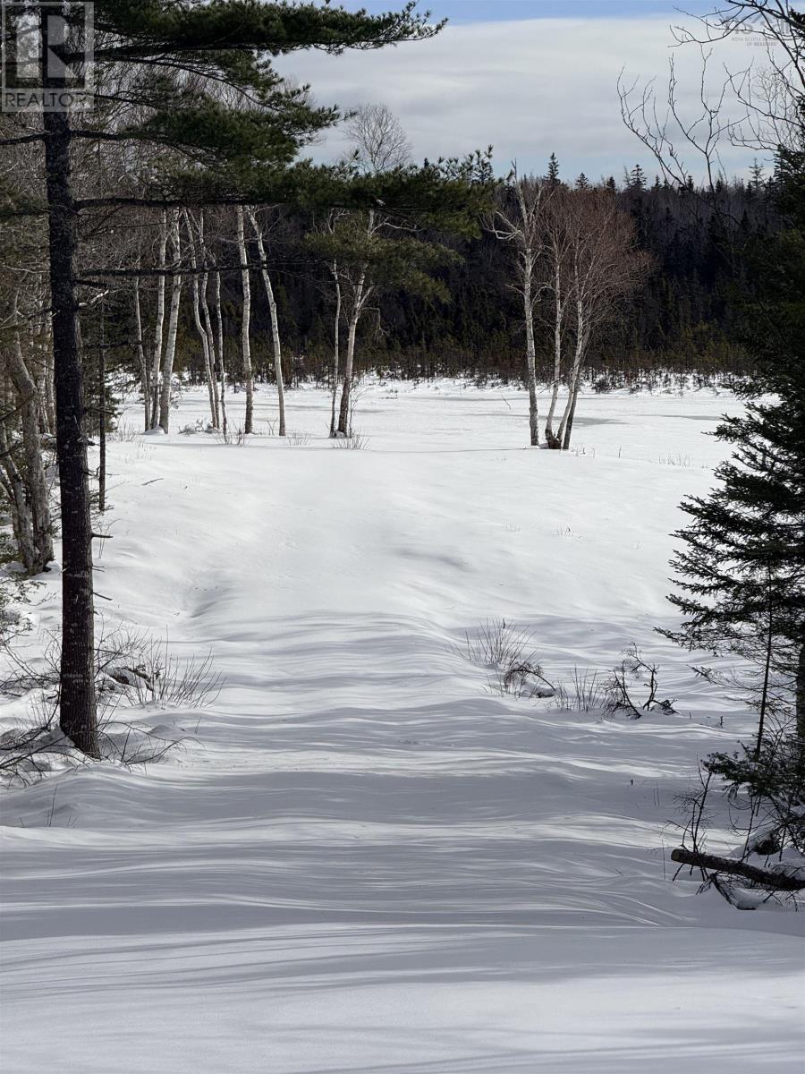 Hillside Rd Lot 3 Marion Bridge, Marion Bridge, Nova Scotia  B1K 3M5 - Photo 30 - 202613437